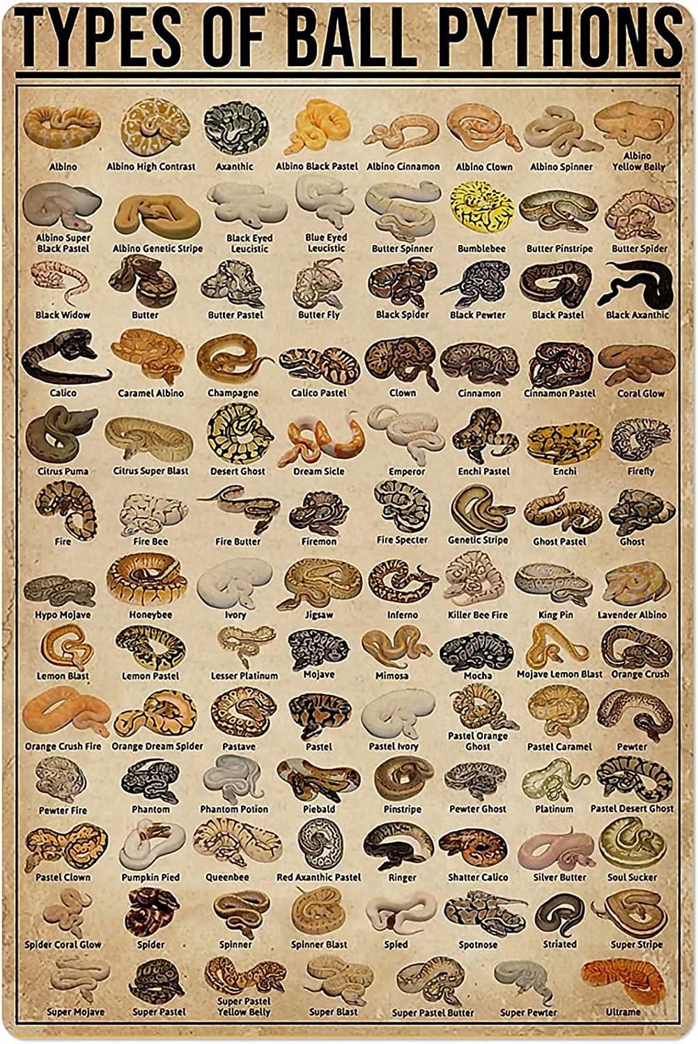Affiche rétro en métal de type - Retro Gaming Pictures avis et prix